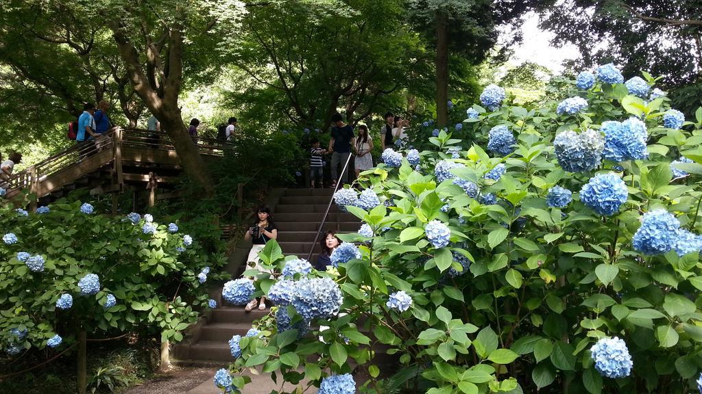Enoshima Guest House 134 Fujisawa Εξωτερικό φωτογραφία